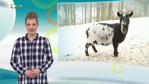 Zprávičky - 27. ledna 2020