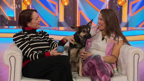 StarDance - Kolem dokola