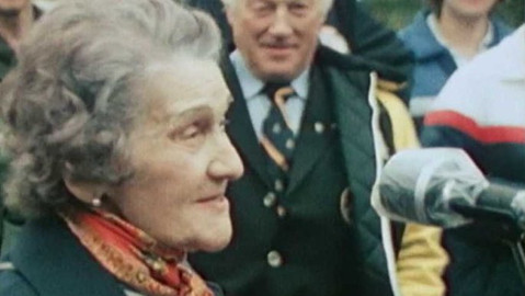 Archiv D - Proč ne?