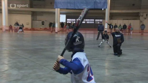 Sport v regionech - Z-Cup, Brno