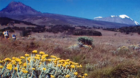 Zapomenuté výpravy - Expedice Virunga