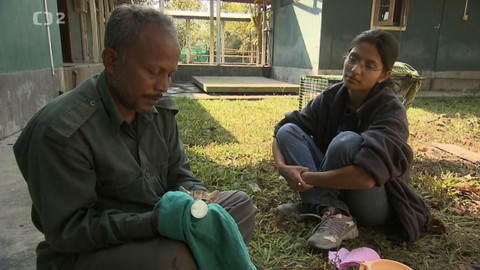 Dobrodružství vědy a techniky - Ochrana divoké zvěře Indie