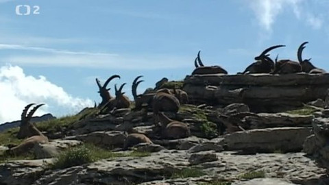 Tisíc let české myslivosti - 16. listopadu 2013