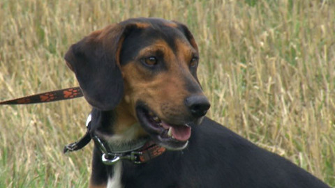 Chcete mě? - Chcete je?