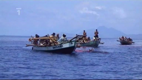 Objektiv - 9. listopadu 2008