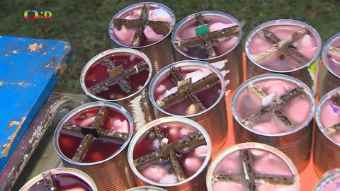 Zprávičky - 8. února 2024