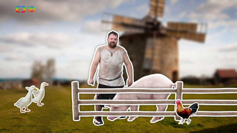 Draci v hrnci - Co si dáte z pašíka? Nabídka je veliká!