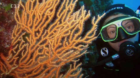 Babylon - 24. října 2020