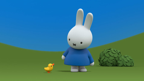 Miffy a její dobrodružství - 58/78 Miffy a káčátko