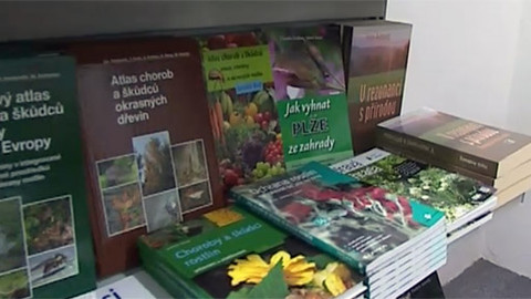 Zahrada je hra - 3. ledna 2008