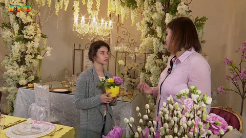 Wifina - 18. března 2016