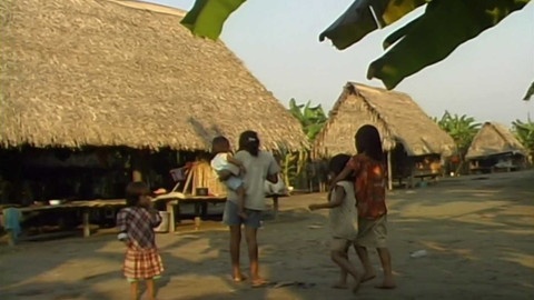 Přidej se - Amazonie