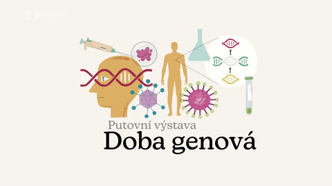 Doba genová s Danielem Stachem - Doba genová - rok první