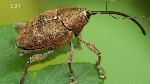 Polopatě - 23. února 2020