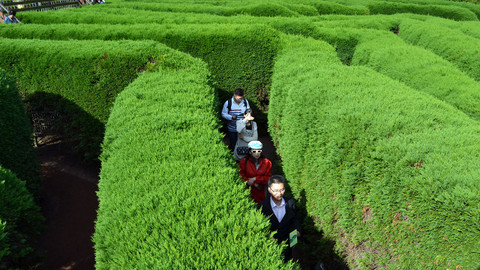 Postřehy odjinud - Korea očima Petra Voldána