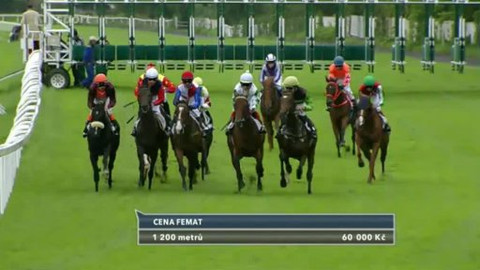 Turf - 25. září 2013