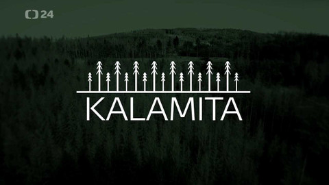 Kalamita