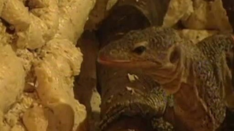 Toulavá kamera - 16. dubna 2006