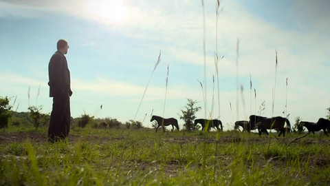 Nedej se! - Ničit a chránit