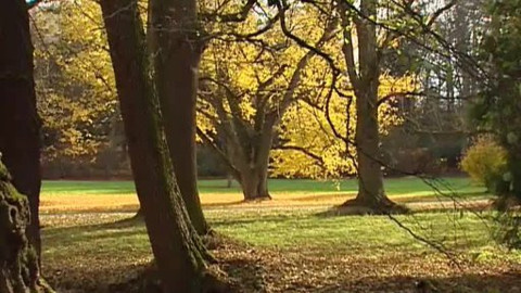 Nedej se! - Průhonický park