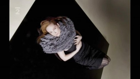 Kultura.cz - 28. prosince 2008