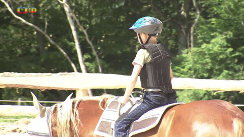 Zprávičky - 4. července 2019