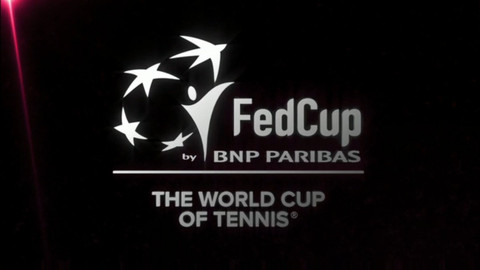 Fed Cup 2017