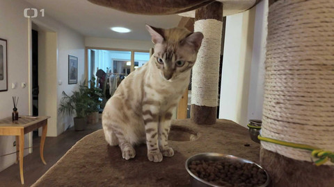 Máme rádi zvířata - 18. listopadu 2024