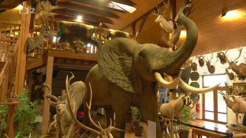 Cyklotoulky - Jeseníky