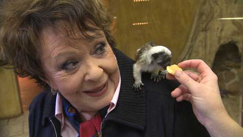 Hobby naší doby - Hobby naší doby - letní speciál