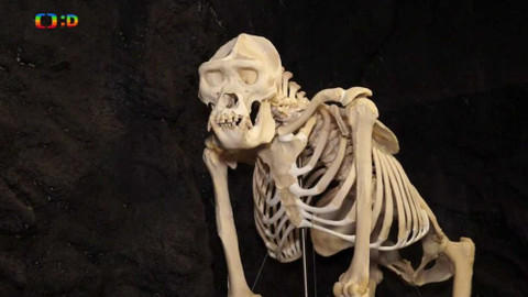 Tamtam - 12. května 2018