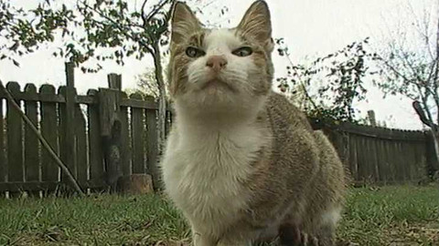 Objektiv - 16. listopadu 2003