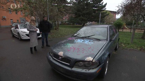 Černé ovce - 8. února 2024