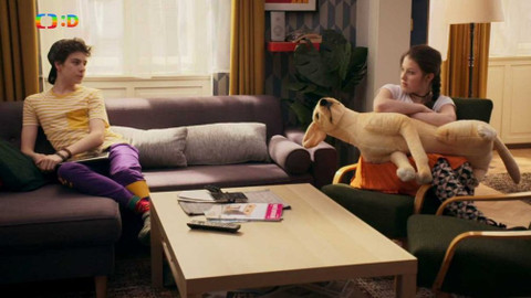 Občanka - Hledá se shoda