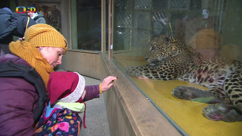 Zprávičky - 30. prosince 2024