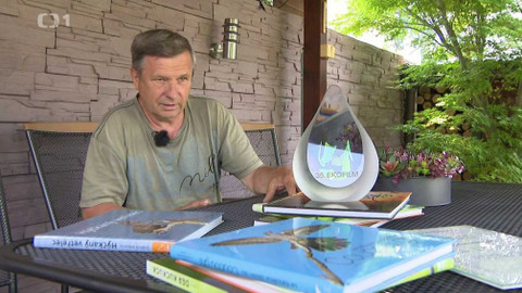 Týden v regionech (Brno) - 31. července 2021