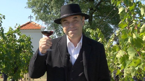 Naše tradice - Vinobraní