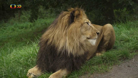 S Jakubem v Africe - 1/13 Lev