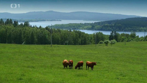 Toulavá kamera - 18. července 2021