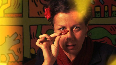 Q - 8. listopadu 2011