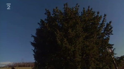 Přidej se - Vrátí se tis do Beskyd?