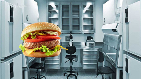 Kritika budoucnosti - 10. Maso