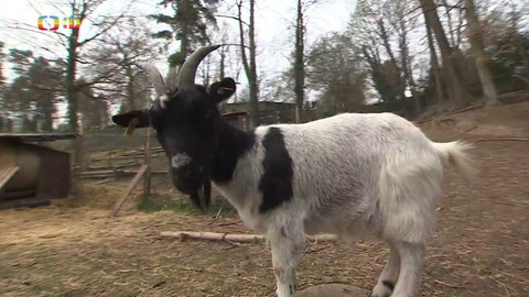 Zprávičky - 30. dubna 2022