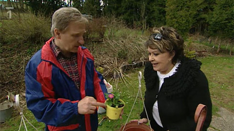 Hobby naší doby - Hoby naší doby