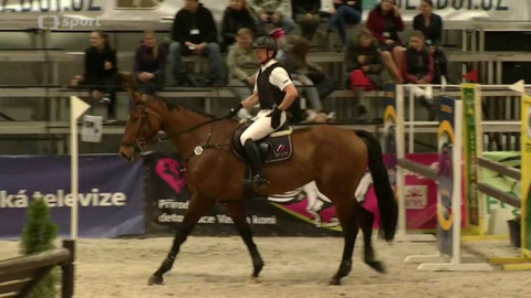 Jezdectví - Jezdecký festival Lysá nad Labem