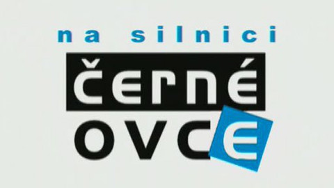 Černé ovce na silnici