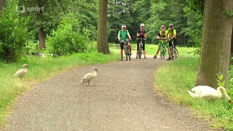 Cyklotoulky - Ostrov