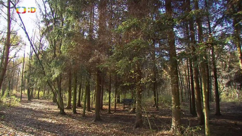 Tamtam - 5. prosince 2020