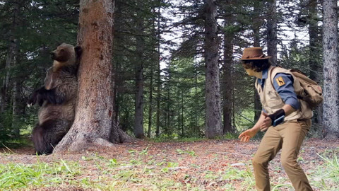 Andy na safari - Medvěd grizzly