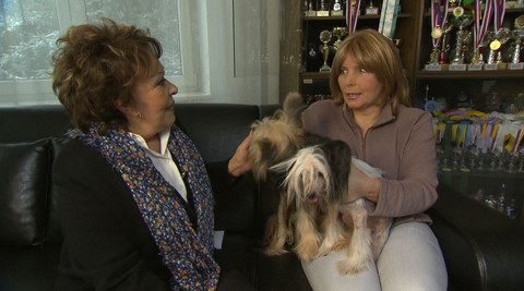 Hobby naší doby - 4. května 2013